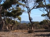 dolmen-trees-lagoon-prospecthill