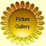 Picture Gallery