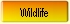 wildlife