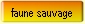 faune sauvage